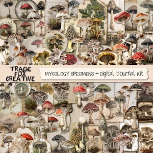 Kit kortstondige paddenstoelen: kieskeurige uitsnijdingen van paddenstoelen voor ongewenste tijdschriften (digitale download) DIGI25 37