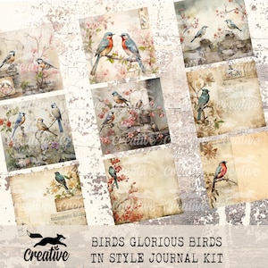 BIRDS GLORIOUS Vögel, druckbares Journal in TN-Größe, digitales Scrapbook Papier, DIGI23 57