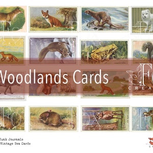 Woodlands: Conjunto de cartões de chá digitais DIGI20 35