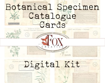 Faux Botanical Specimen Catalogue Cards, Digital Kit DIGI19 64