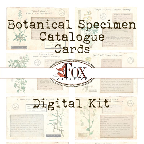 Faux Botanical Specimen Catalogue Cards, Digital Kit DIGI19 64