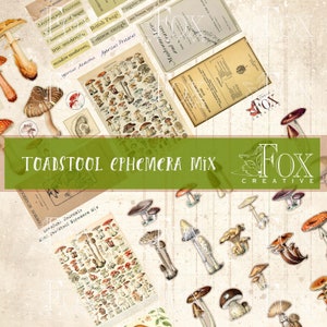 Op de afbeelding: Een digitaal papierpakket met illustraties van paddenstoelen en toadstools. Het pakket bevat vintage illustraties van verschillende soorten paddenstoelen, waaronder de gewone paddenstoel, de weidepaddenstoel en de Agaricus Procerus. Het pakket bevat ook tekst over paddenstoelen en toadstools.