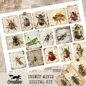 Insect Minis, Digital Bugs Kit, DIGI24 13  Insect Ephemera