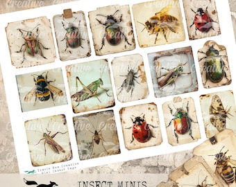 Insect Minis, Digital Bugs Kit, DIGI24 13  Insect Ephemera