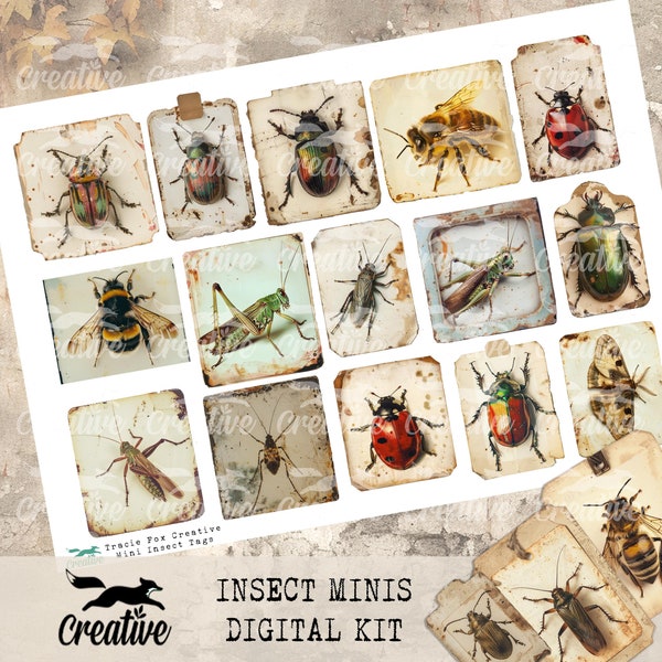 Mini-insectes, kit d'insectes numériques, éphémères d'insectes DIGI24 13