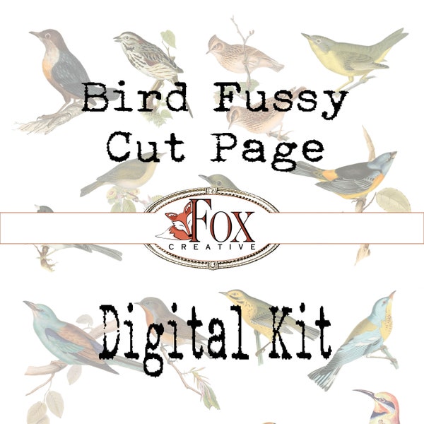 Bird Images, Fussy Cut Pages, Birds Digital Kit DIGI19 49