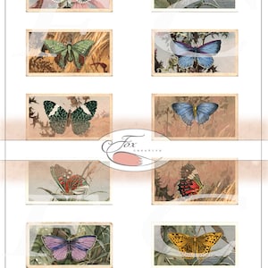 Cartões de chá digitais Butterfly. Cartões de chá falsos. Conjunto 1 DIGI18 57