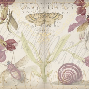 Vivid Nature, Digital Journal Pages Kit.  DIGI19 85