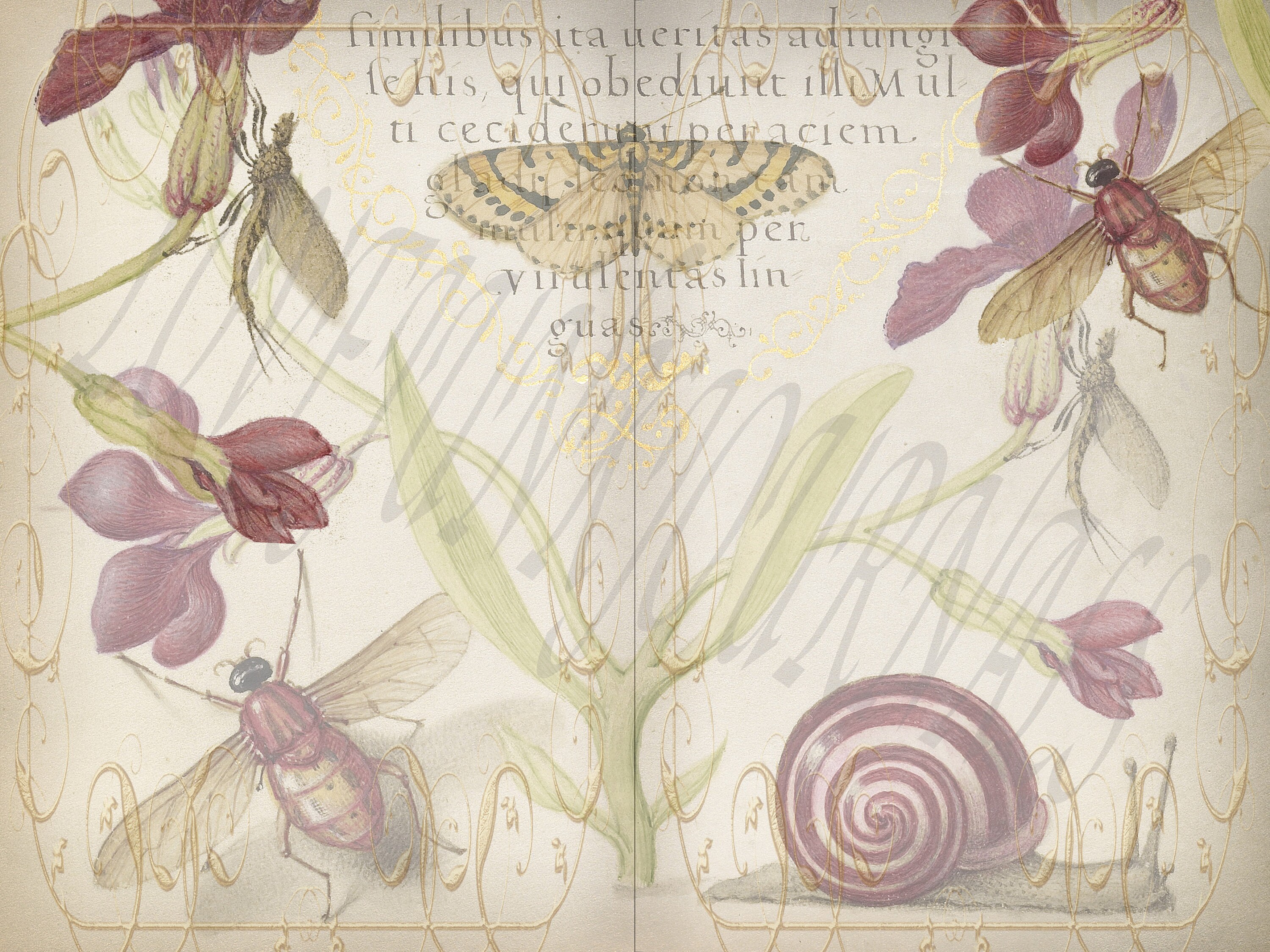 Vivid Nature, Digital Journal Pages Kit.  DIGI19 85