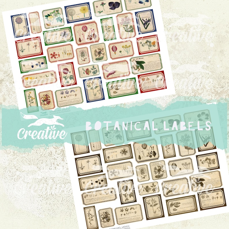 Puede incluir: Dos hojas de etiquetas bot&aacute;nicas vintage con ilustraciones de flores y plantas. La hoja superior tiene etiquetas con bordes rojos, azules y verdes. La hoja inferior tiene etiquetas con bordes marrones. El texto "BOTANICAL LABELS" est&aacute; impreso en blanco sobre un fondo azul claro.