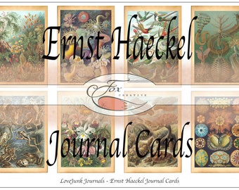 Ernst Haeckel Digital Journal Cards. DIGI18 41