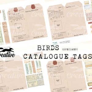 Etiquetas para catálogo de espécimes de pássaros, kit digital para cartões de diário, etiquetas em camadas para pássaros, kit de itens efêmeros para impressão em scrapbook DIGI22 17,