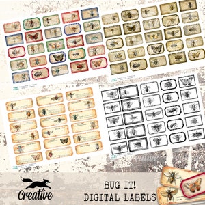 Etichette digitali BUG IT!, diario di entomologia stampabile/kit per scrapbooking, etichette a tema insetti, DIGI23 48B
