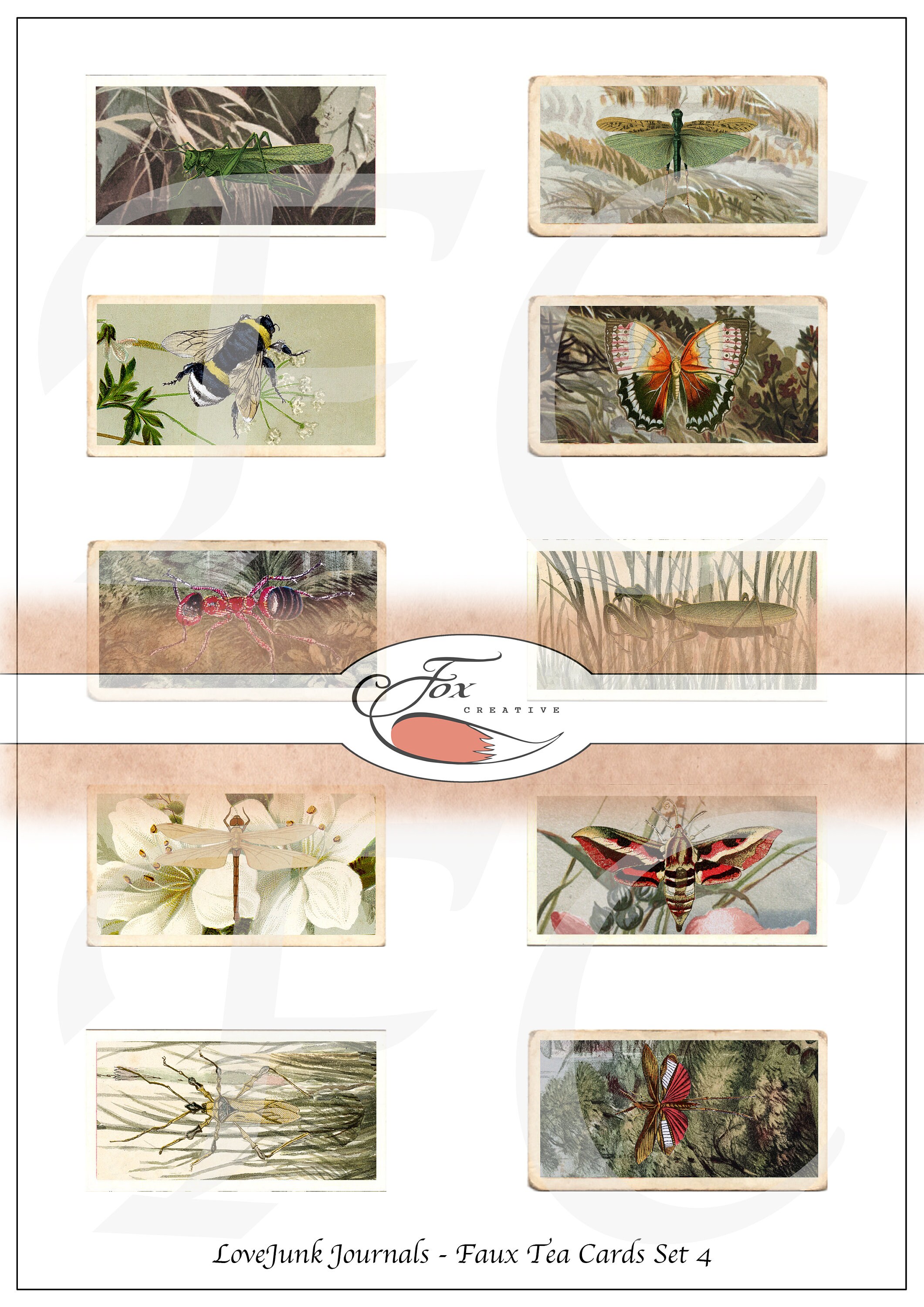 Insects Digital Tea Cards.  Faux Tea Cards. (Set 4) DIGI18 58