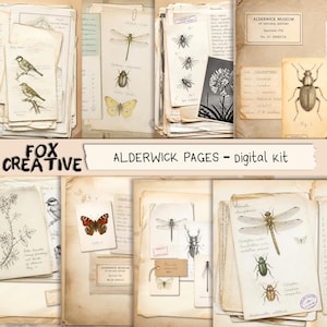 May include: A digital kit of vintage-style paper pages featuring natural history illustrations of insects, birds, and botanical specimens. The collection includes aged, off-white documents with handwritten notes, museum labels, and detailed sketches.