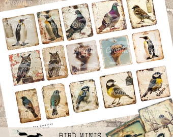 Bird Minis, Digital Bird Kit, DIGI24 15 Bird Ephemera/Tags