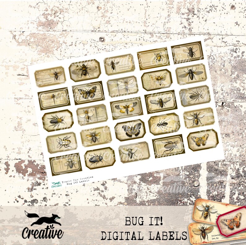 Bug Collection Labels BUG IT! Digital Labels, Printable Entomology Journal/scrapbooking Kit ...