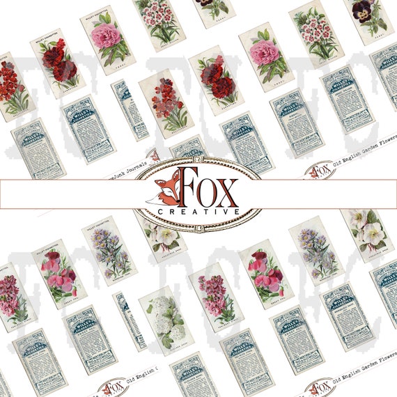 English Garden Flower Tea Cards/cigarette Cards Set 2. Digital Kit: Cards  26-50 DIGI19 25