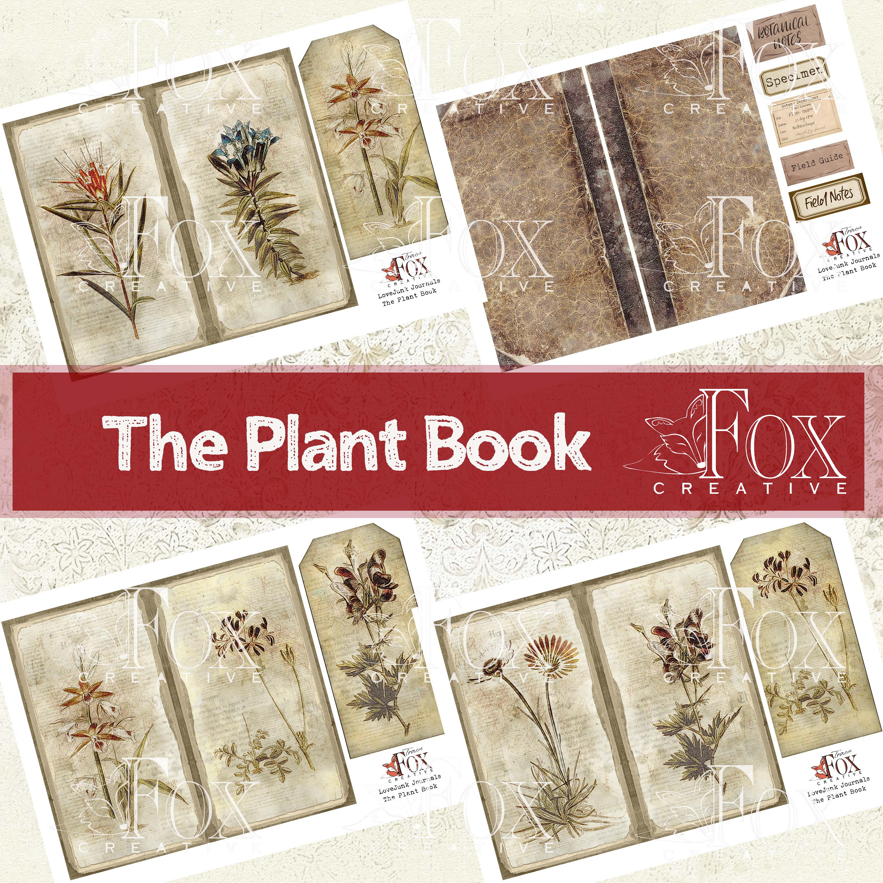 The Plant Book, Digital Kit DIGI20 42