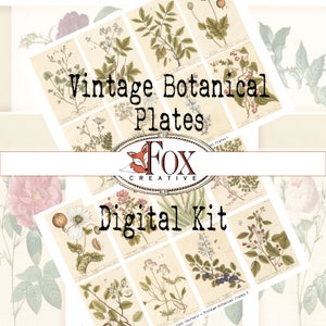 Pratos botânicos vintage, cartões de diário, itens de scrapbooking, kit digital DIGI19 17