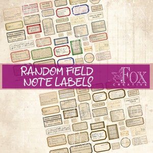 Random Field Note Labels, Digital Kit DIGI20 55