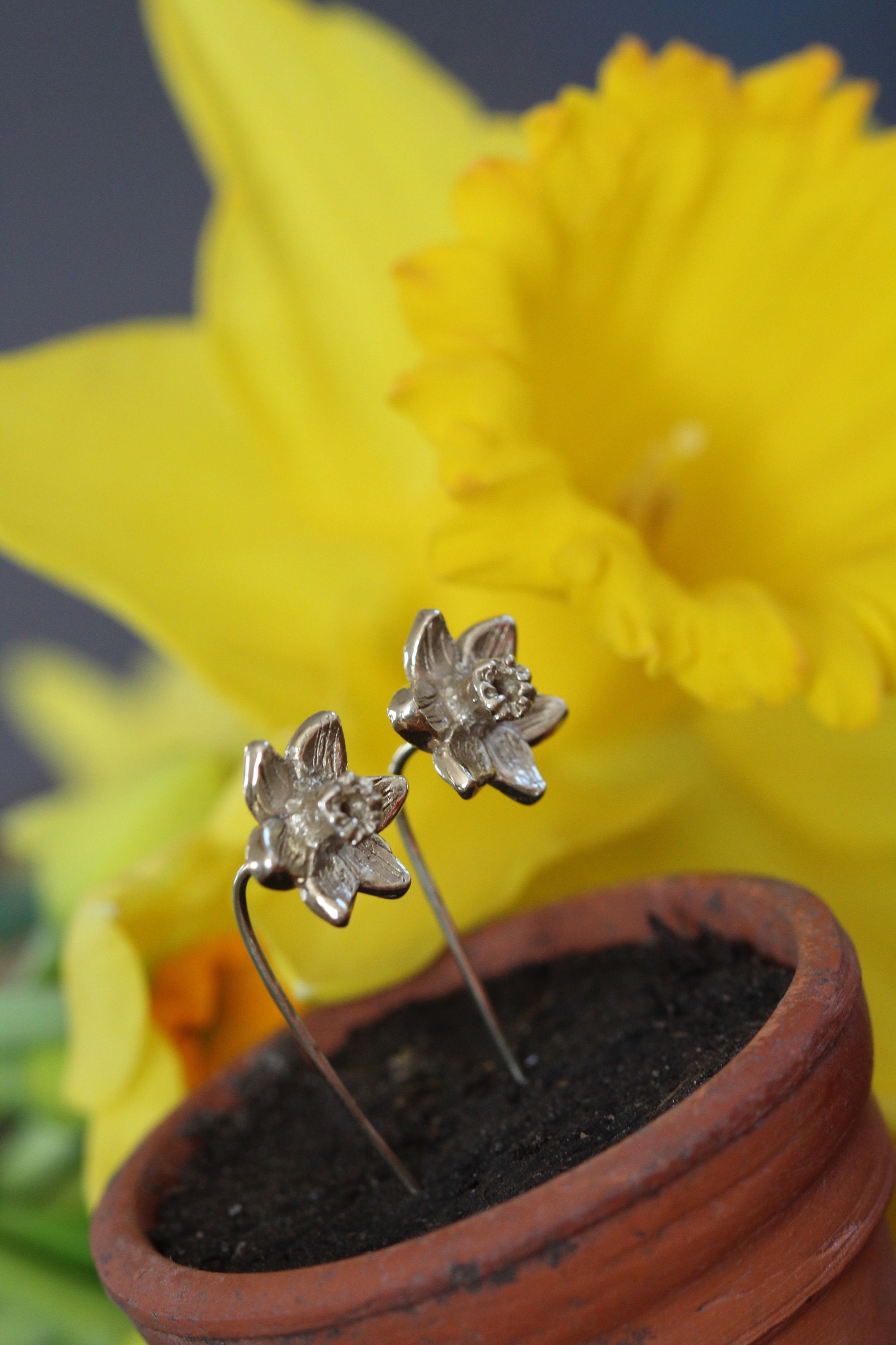 Daffodil Earrings Silver Flower Earrings Spring Jewellery Etsy Israel