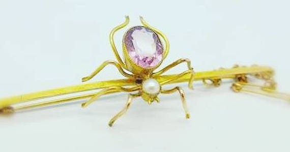 Edwardian Spider Brooch, Antique Spider Brooch, Bu