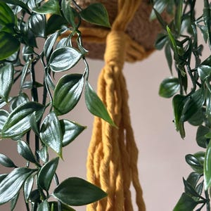 May include: A mustard yellow macrame plant hanger made of thick cotton cord, featuring intricate knotted patterns and long, dangling fringe, supporting a textured brown pot filled with lush, dark green trailing foliage with pointed leaves.