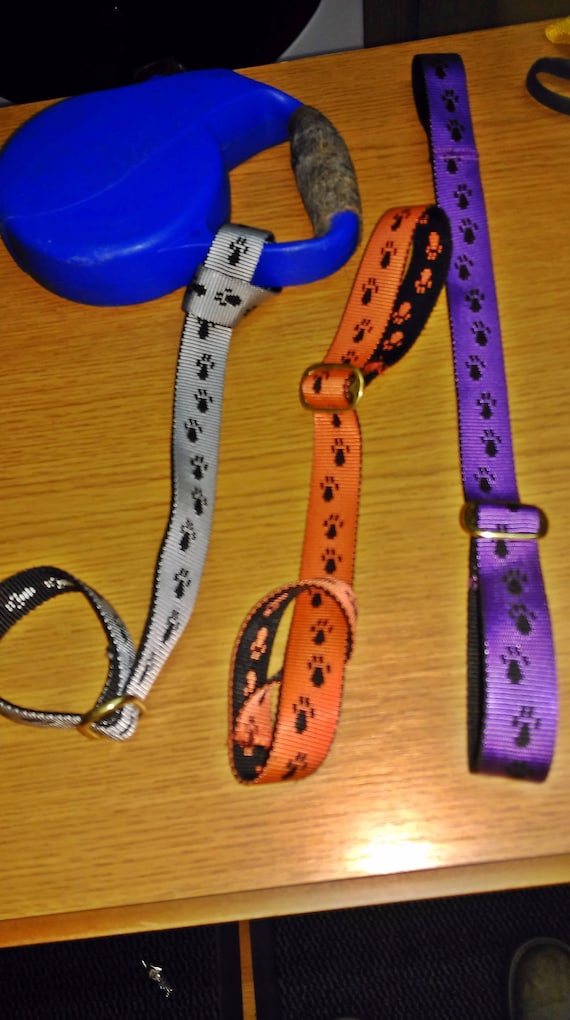 flexi lead safety loop