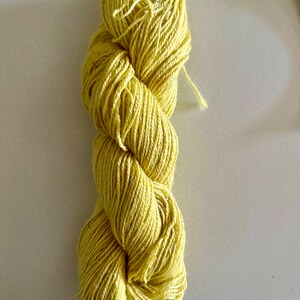 Yellow Jasmine