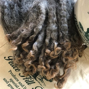 May include: A close-up of a pile of curly, gray and brown wool fiber. The wool is sitting on a white canvas bag with the text "Fence Hill Farm" printed in green.