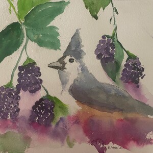 Tufted Titmouse-Watercolor Painting