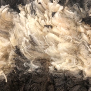 May include: Close-up of a sheep's fleece with a black and white color gradient. The fleece is soft and fluffy, with a mix of black and white wool.