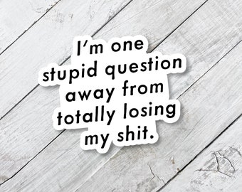 stupid question sticker, iphone decal, coworker gift, sarcastic decal, funny sticker, office humor, sticker for laptop, work, lose my shit