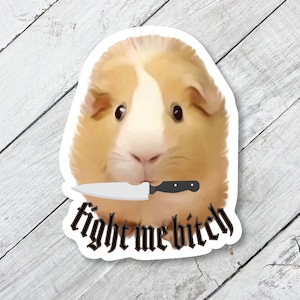 Guinea Pig Sticker: Fight Me Bitch, Glossy Vinyl Laptop Decal