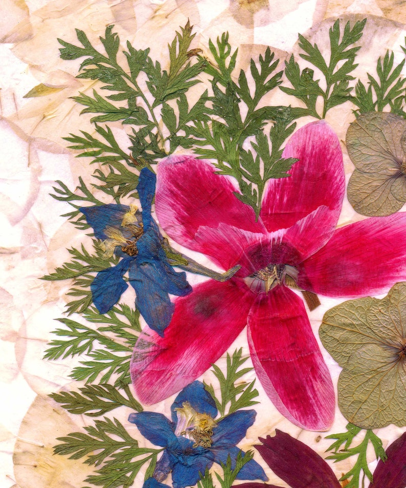 dried flowers print pressed flowers art dried flowers art