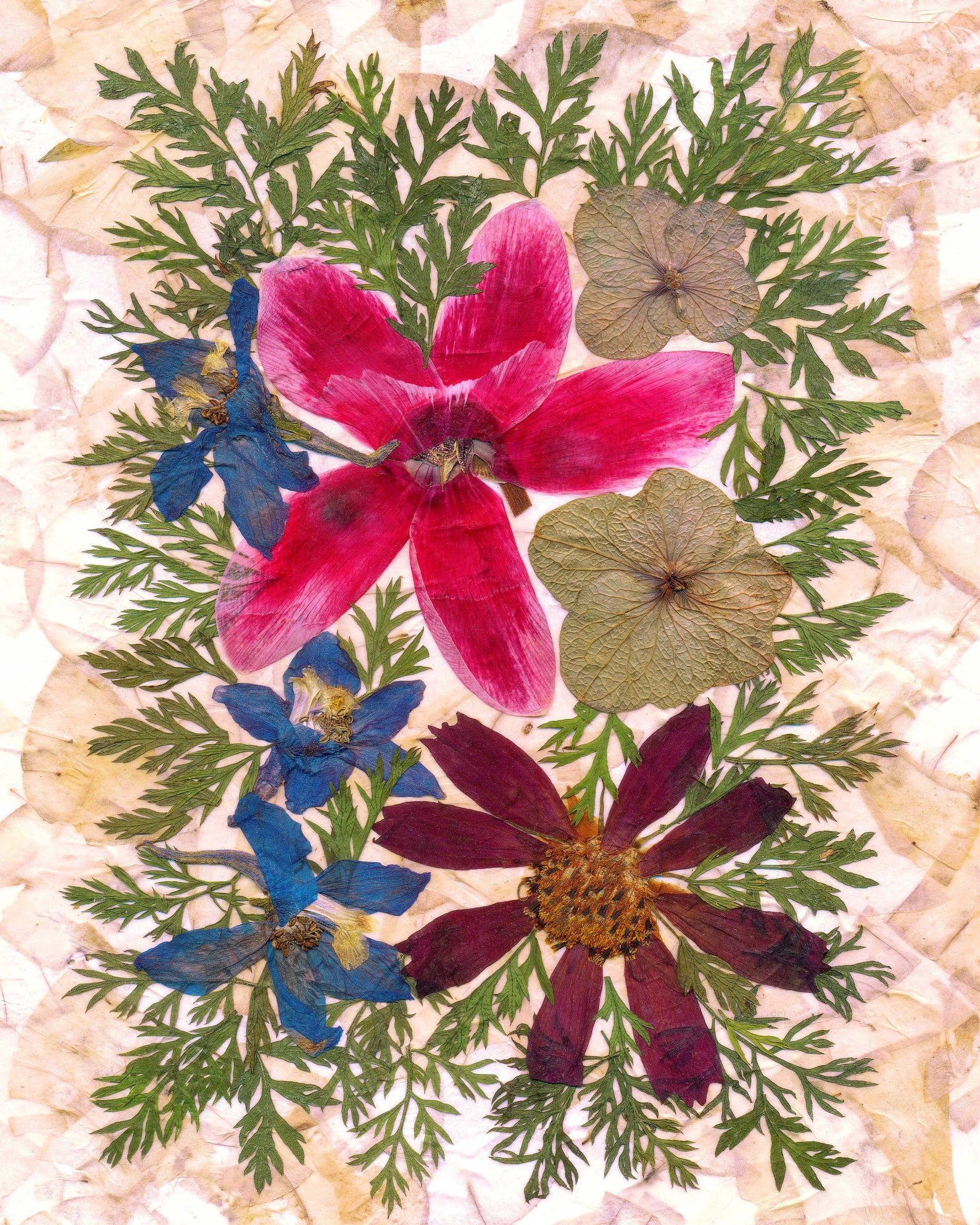 Dried Flowers Print Pressed Flowers Art Dried Flowers Art Etsy