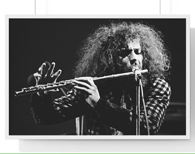 Rare '73 JETHRO TULL Aqualung Chrysalis Records Vintage U.S Early Vinyl