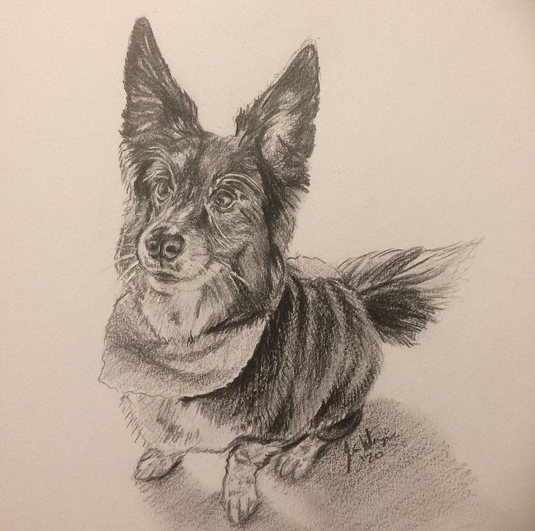 Custom Graphite Pet Portrait Single Subject Dog Portrait Etsy UK