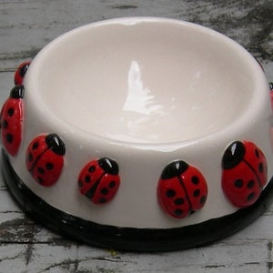 Lucky Ladybug Dog/Cat/Pet Bowl/Dish/Feeder, Ceramic Pet Bowl, Custom Hand Made, Hand Painted Pet Bowl