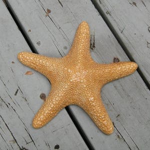 Custom Hand Painted Ceramic Starfish, Beach House Décor, Aquarium Décor, Beach Wedding, Seaside Boho Design