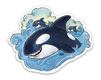 Killer Whale Sticker - Orca Decal - Animal Sticker - Tom Shannon Artwork