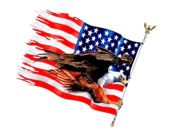 American Eagle with Flag decal, American decal, USA Eagle Flag decal,  Full Color Eagle Decal, USA Flag Eagle Decal, USA decal, Flag Decal