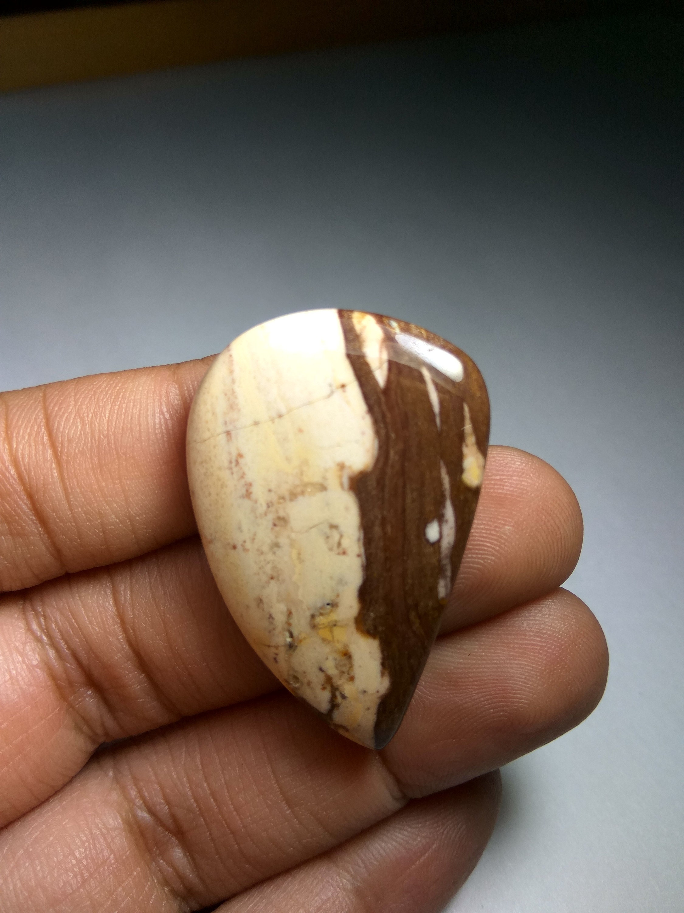 ZEBRA JASPER-Top Quality Zebra Jasper-Fancy shape Zebra | Etsy