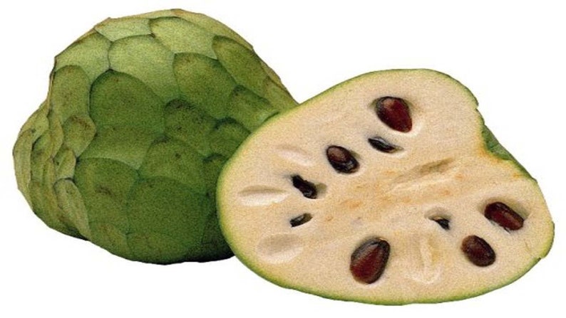 Cuantas calorías tiene una banana Cuantas calorías tiene una banana