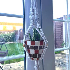 May include: White macrame plant hanger with a small terracotta pot with a red and white checkered pattern. A small cactus plant is growing in the pot.