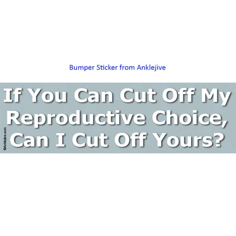 If You Can Cut Off My Reproductive Choice Can I Cut Off image 1