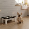 Classic Elevated Dog Bowl Stand – Raised Pet Feeder with Stainless Steel Bowls | Modern Dog Feeding Station for Small Dogs & Cats