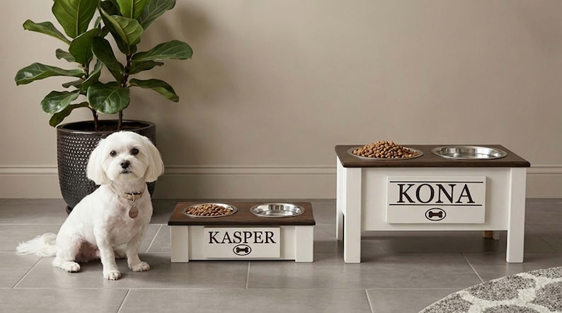 Elevated dog bowl for XS and Large dog personalized for each.
