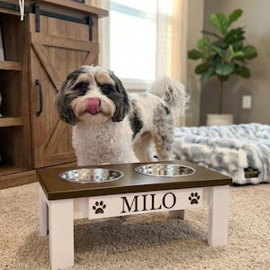 Elevated Dog Bowl Stand – Modern Raised Pet Feeder with Stainless Bowls